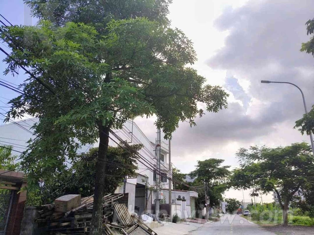 Đất Lưu Kiếm 5