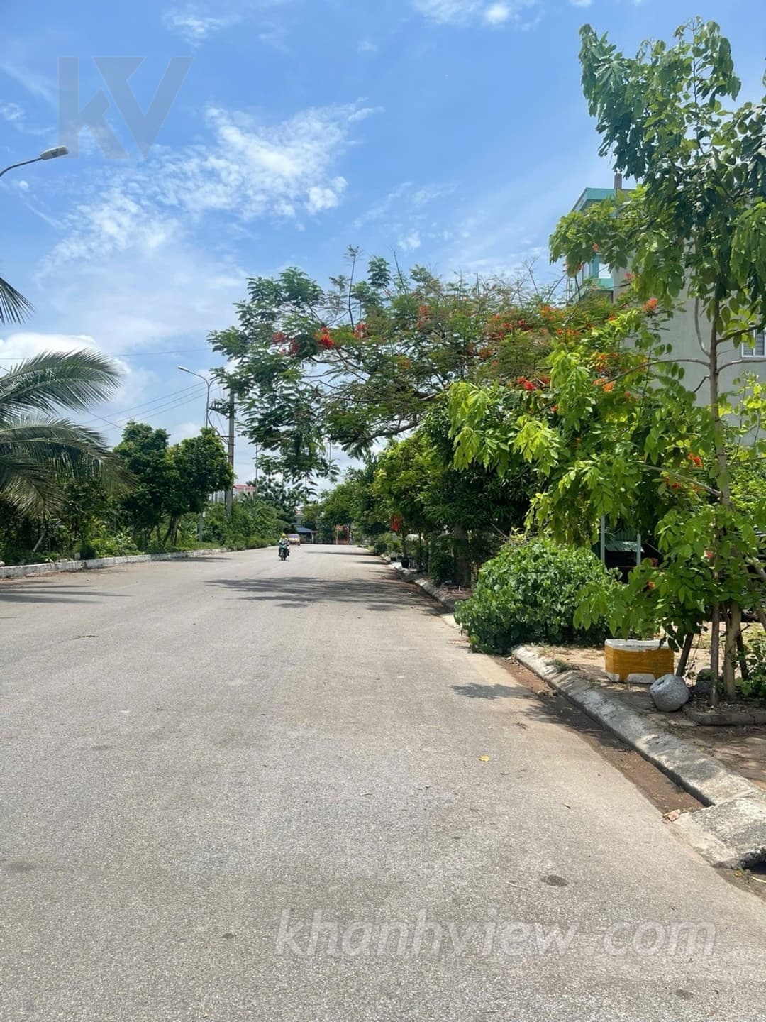 Ảnh thực tế 6