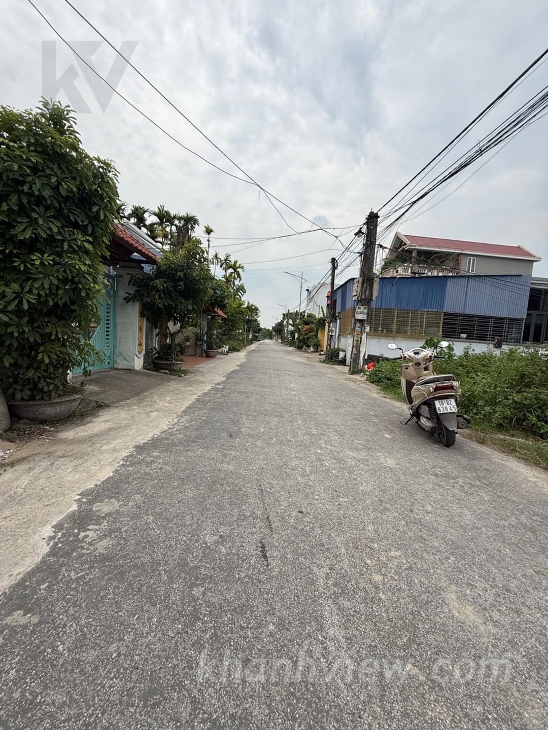 Đất phân lô Lâm Động ảnh 4