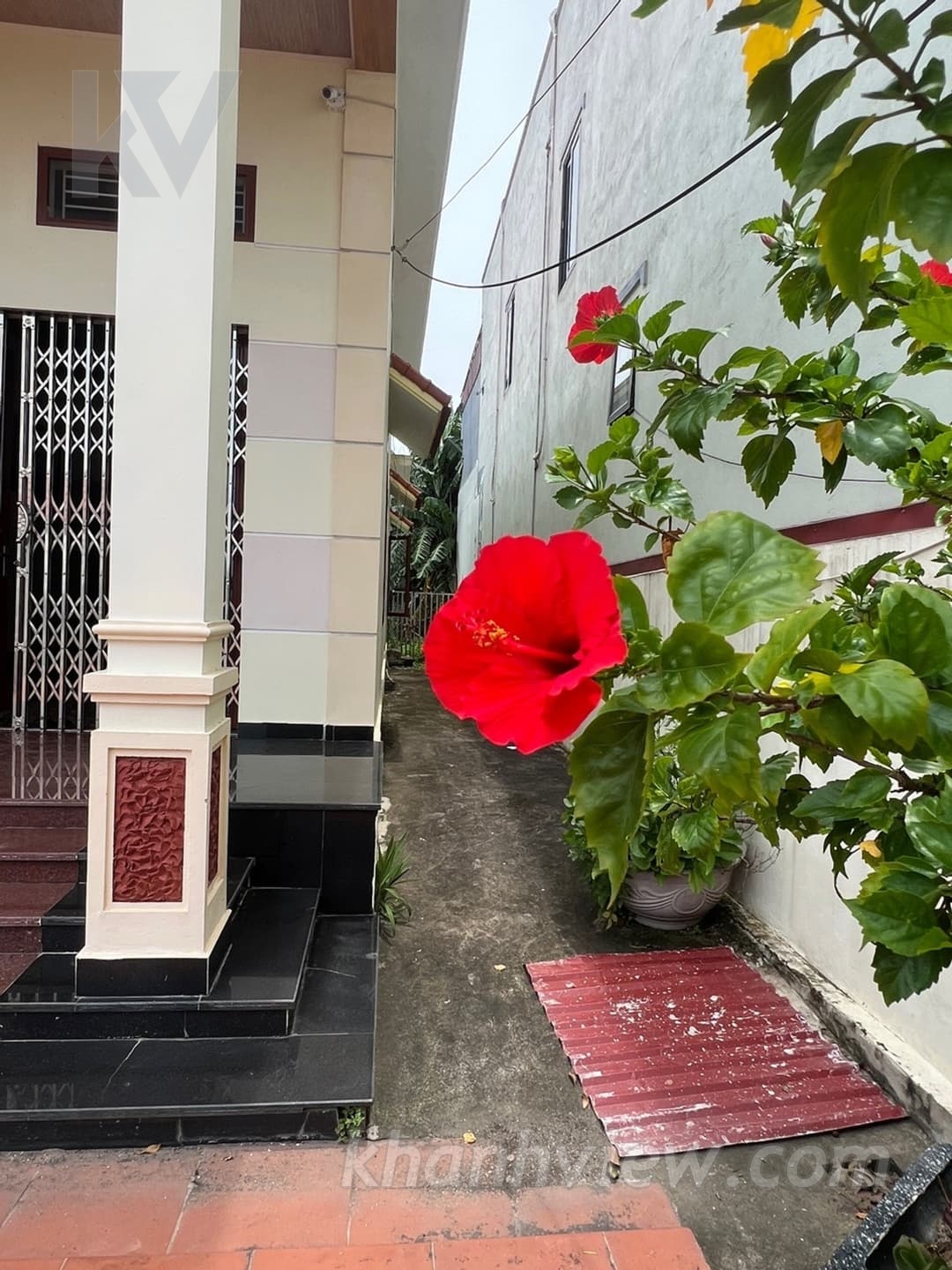 Đại Thắng Dương Kinh TK0QNKKJ 3