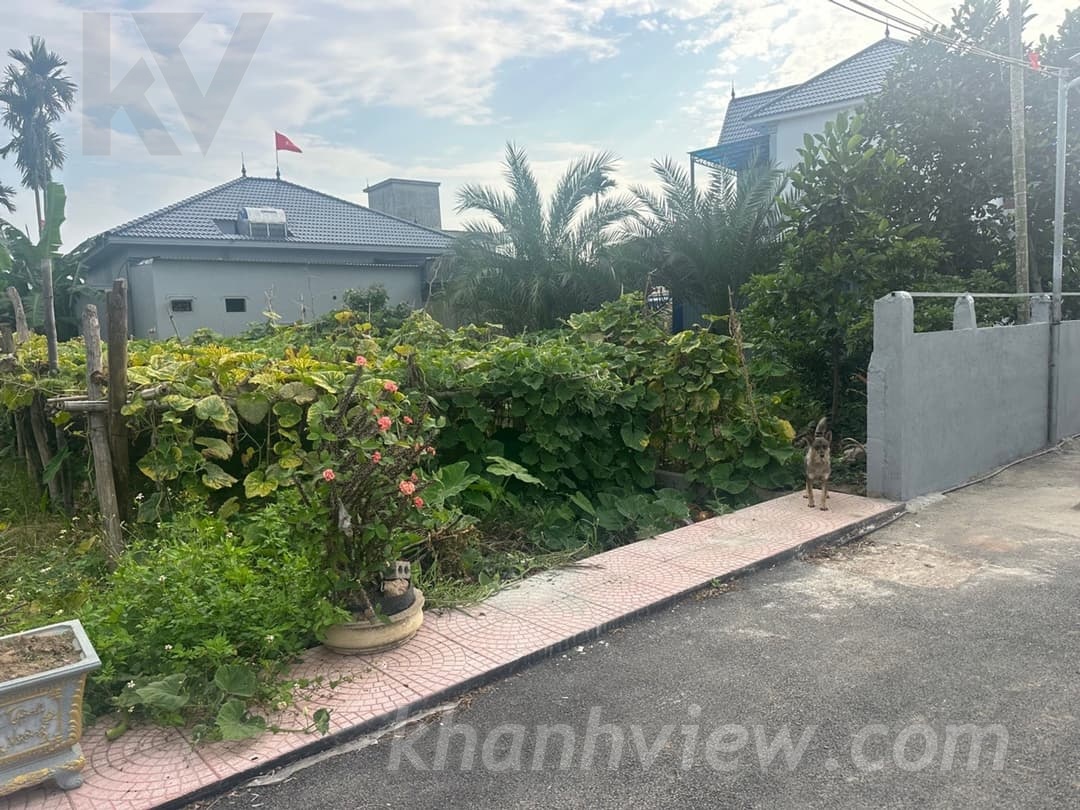 Ảnh thực tế 3