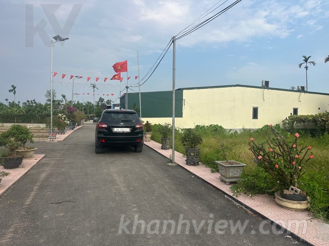 Ảnh thực tế 4