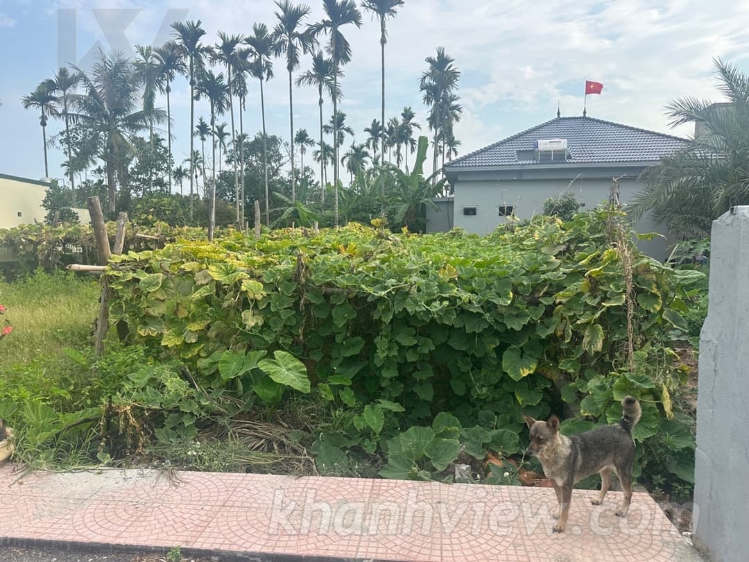 Ảnh thực tế 5
