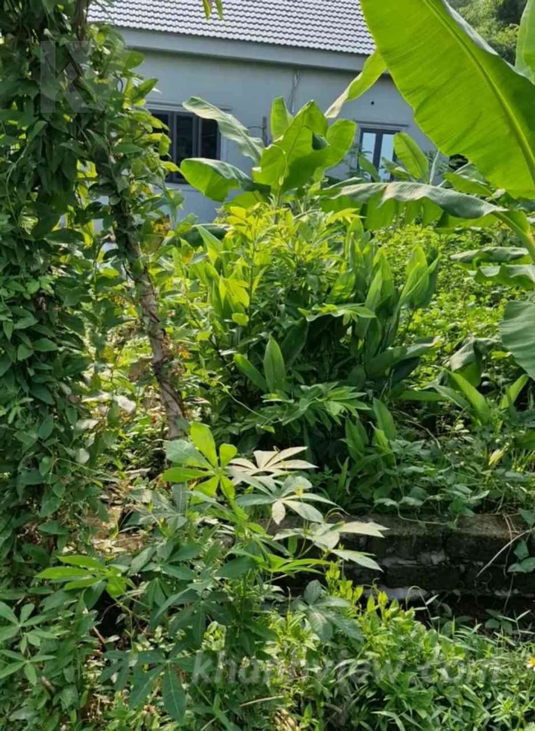 Đất Hoa Động 5