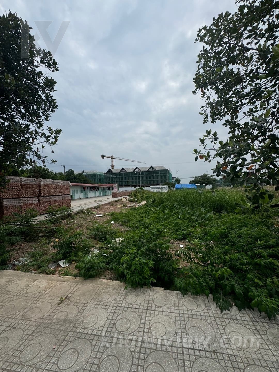 Thực tế lô đất Bấc Vang 3