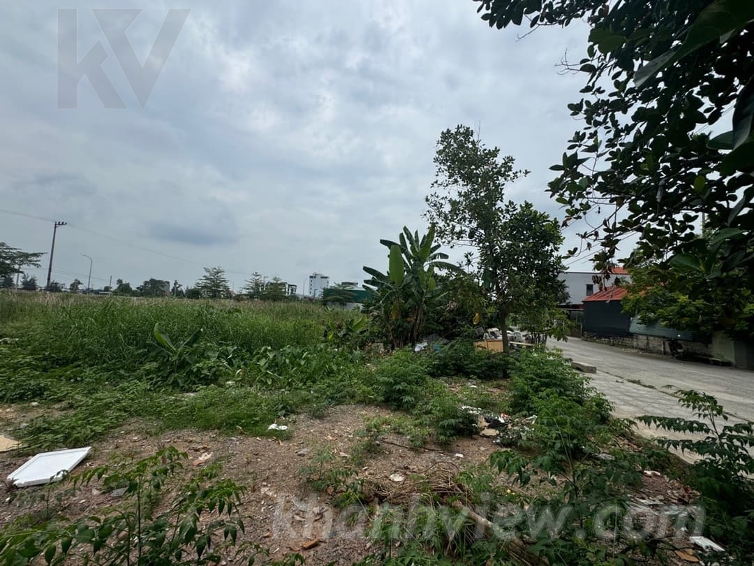 Thực tế lô đất Bấc Vang 4