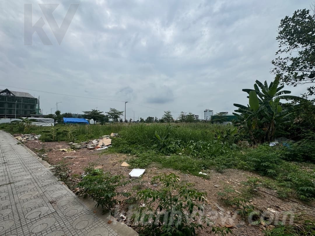 Thực tế lô đất Bấc Vang 5