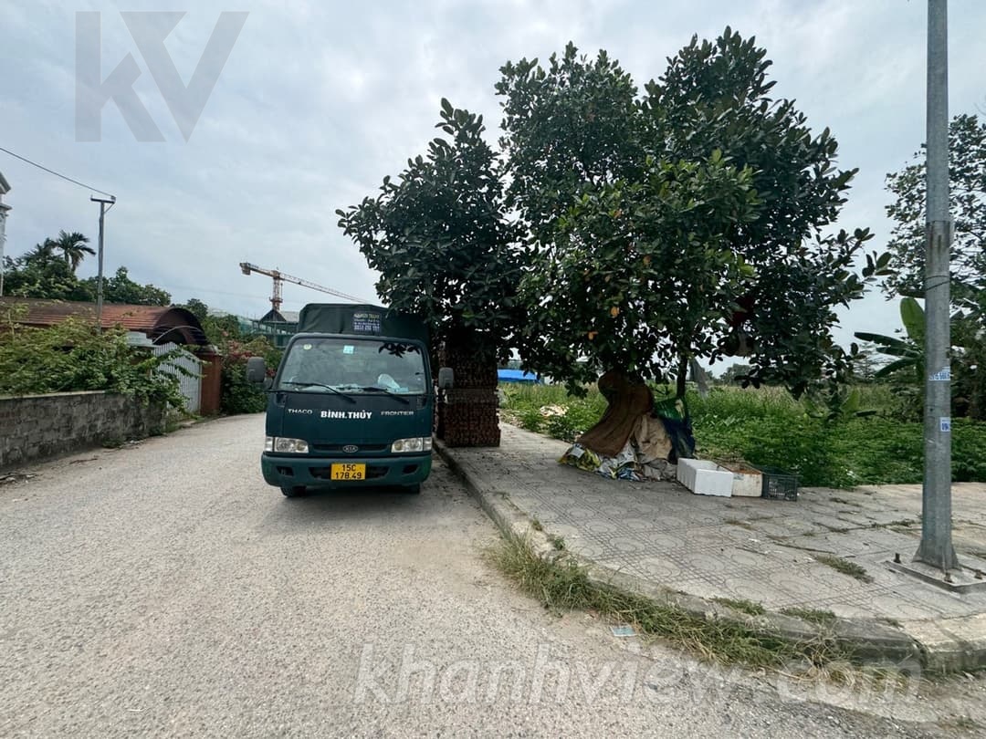 Thực tế lô đất Bấc Vang 6
