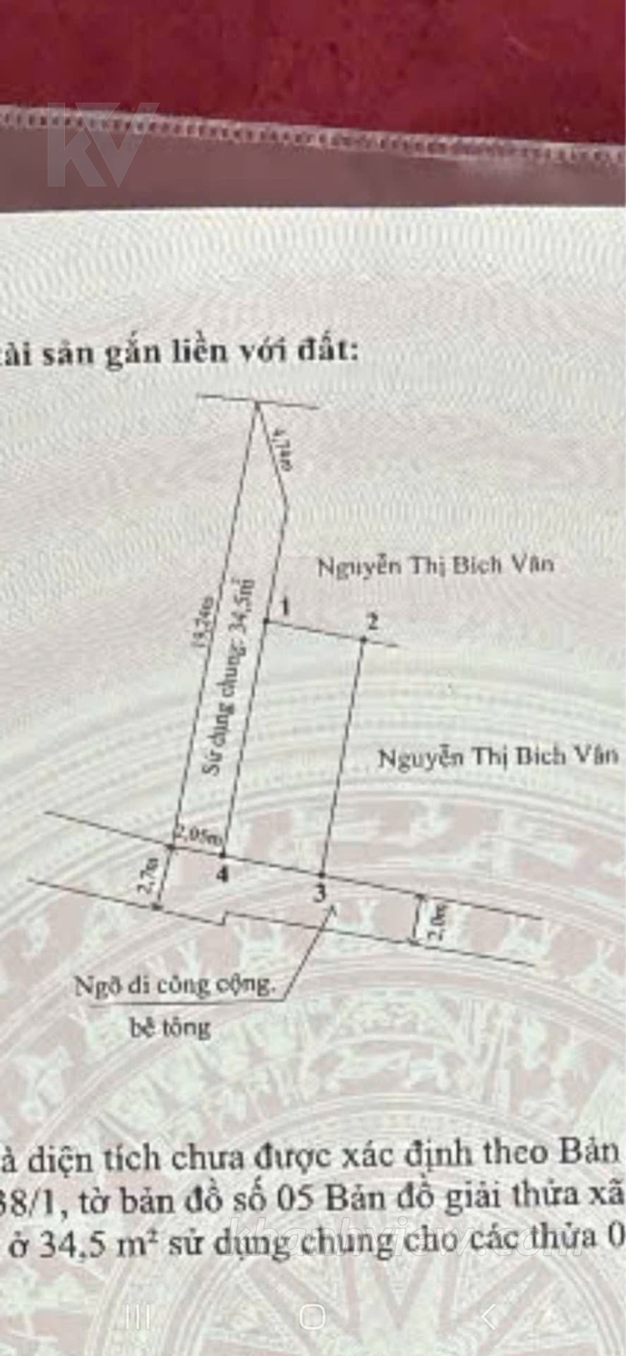 Ảnh thực tế 5