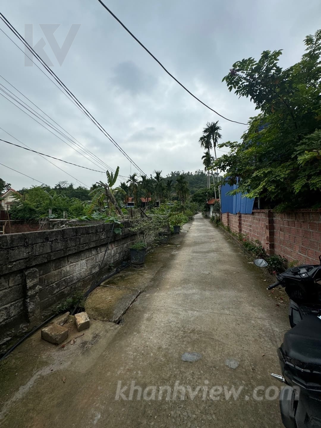 Ảnh thực tế đất Liên Khê 3