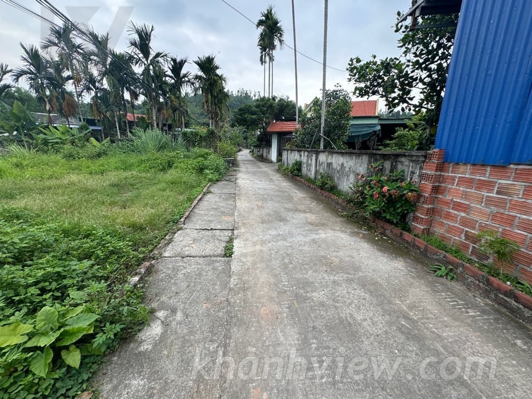 Ảnh thực tế đất Liên Khê 7