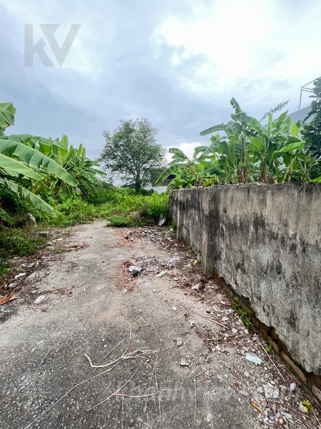 Đất Tràng Cát 2