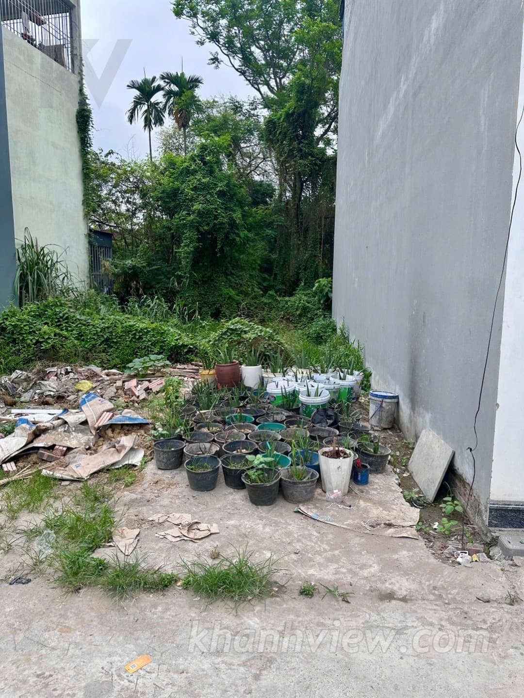 Ảnh 9 Đất An Dương
