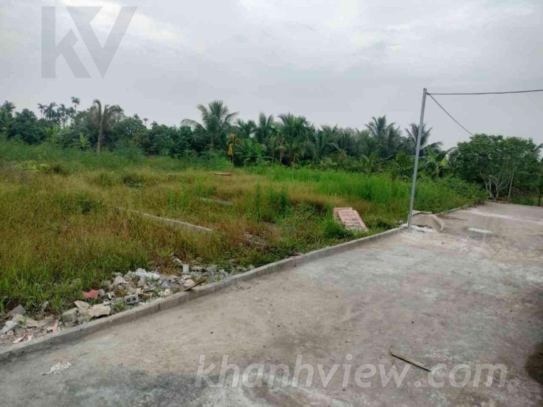 Ảnh thực tế lô đất Thượng Trang 3