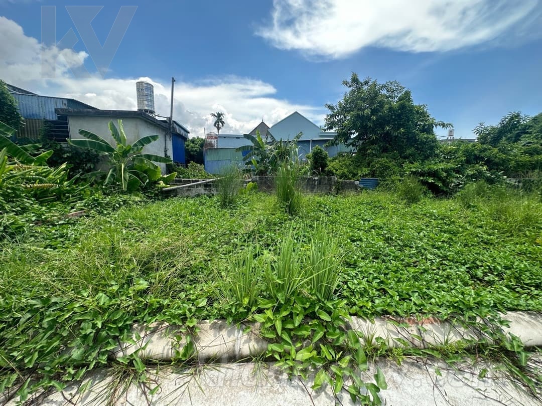 Ảnh thực tế 4
