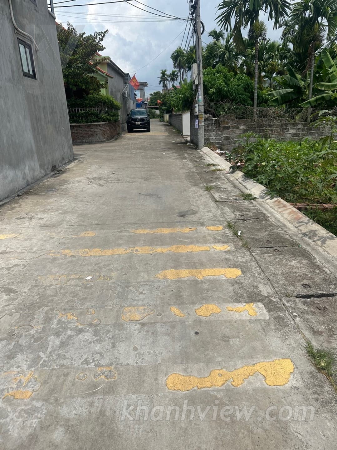 Ảnh thực tế 5