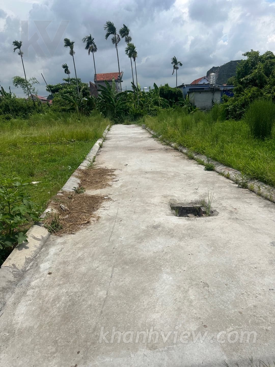 Ảnh thực tế 7