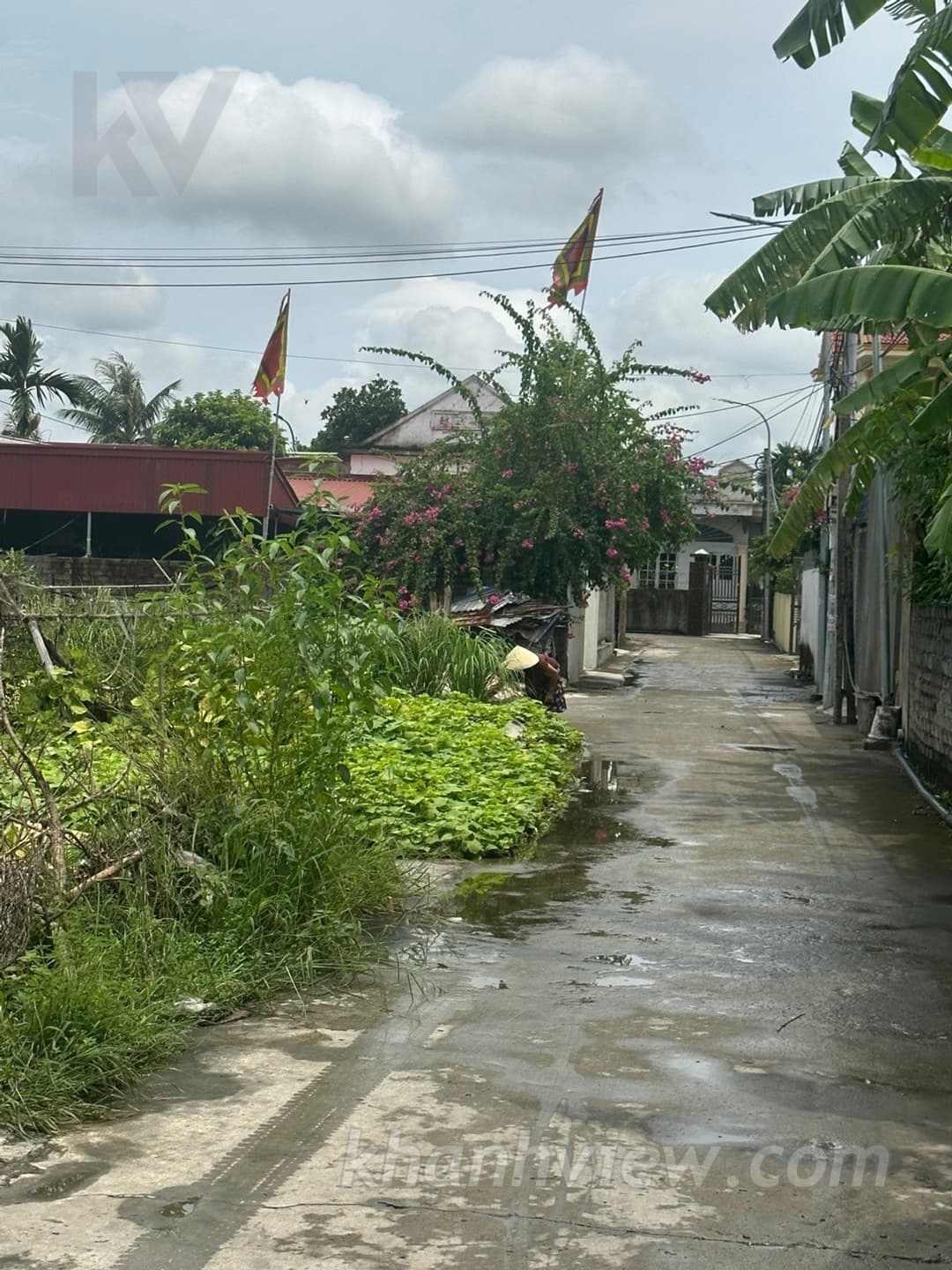 Ảnh đất 13