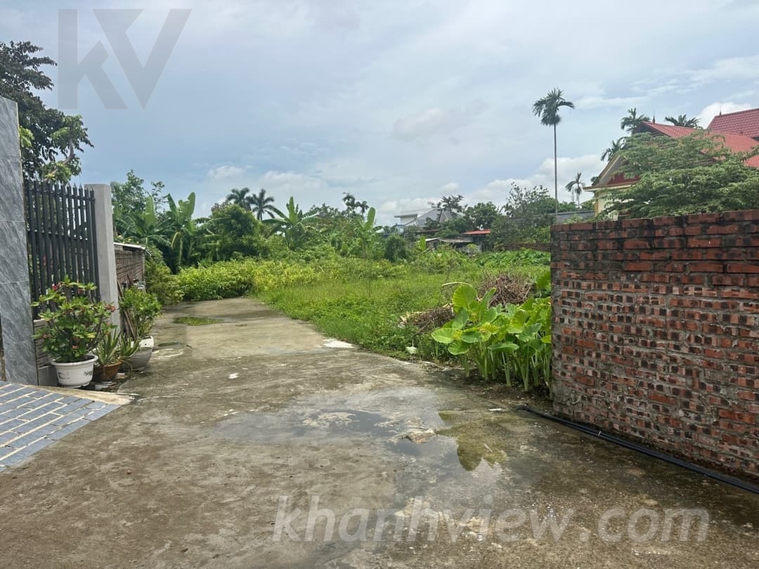 Ảnh thực tế 1