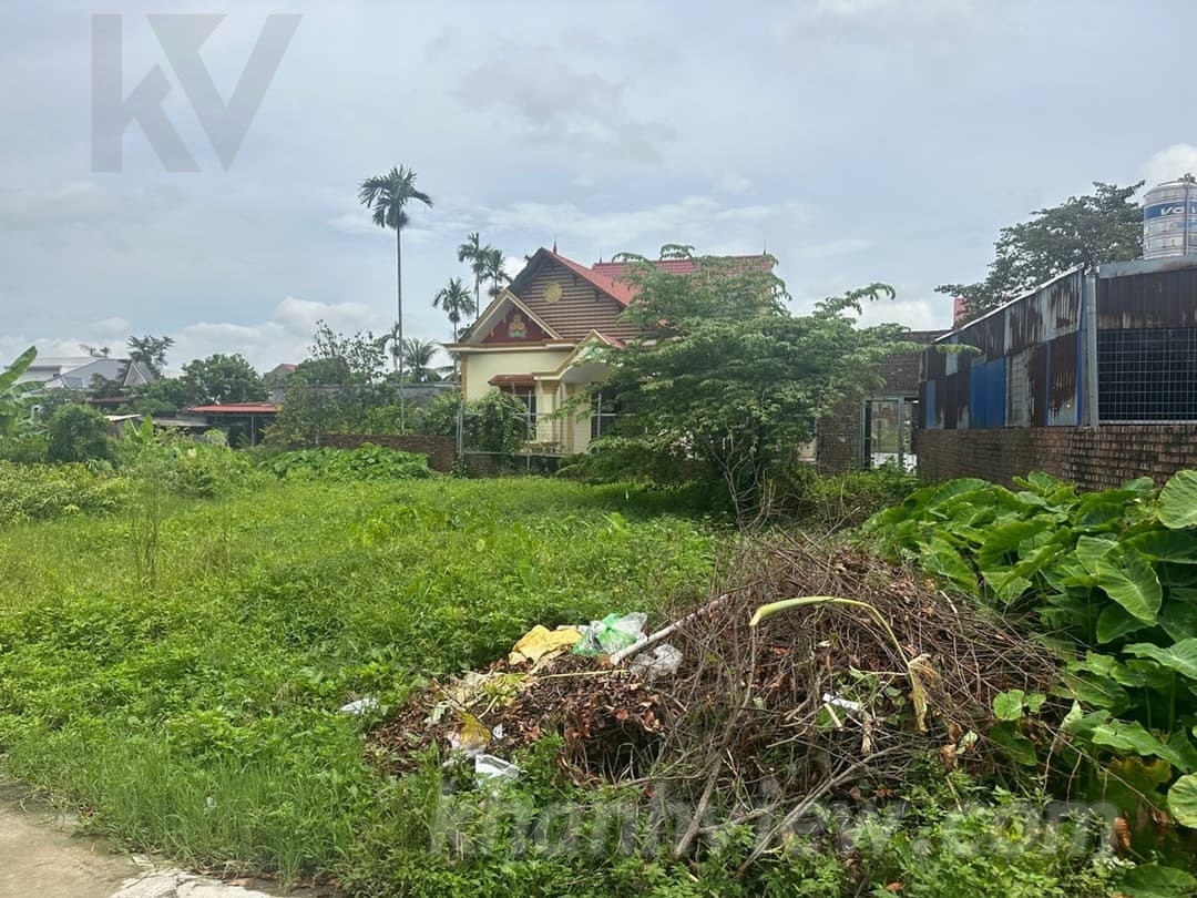 Ảnh thực tế 4