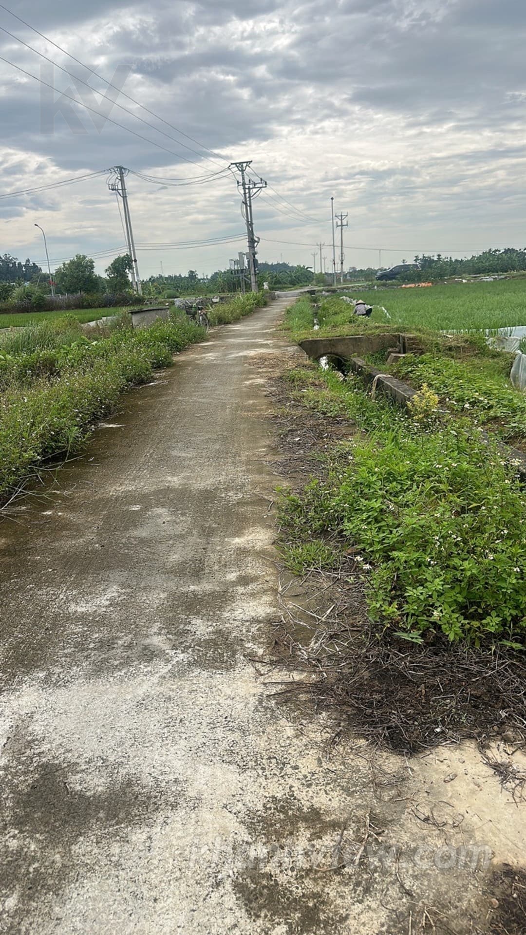 Ảnh thực tế Thủy Nguyên 1