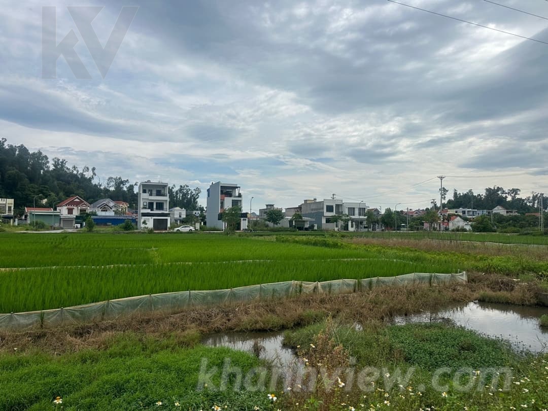 Ảnh thực tế Thủy Nguyên 3