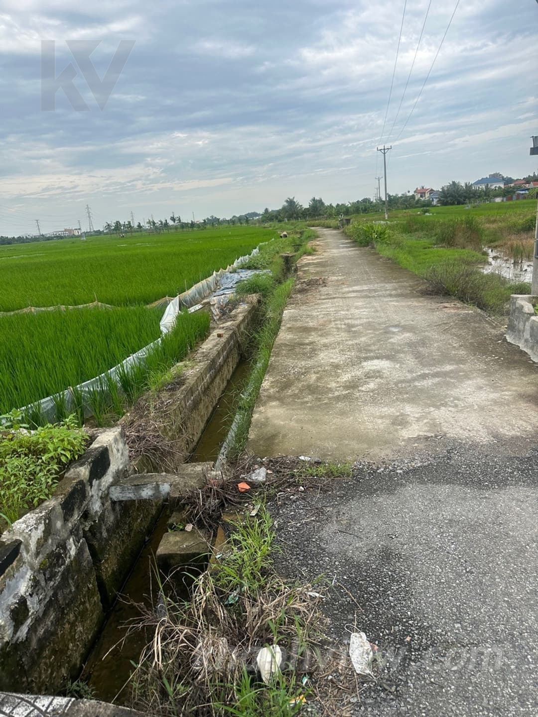 Ảnh thực tế Thủy Nguyên 6