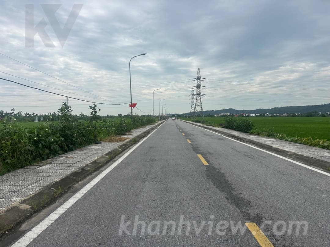 Ảnh thực tế Thủy Nguyên 8