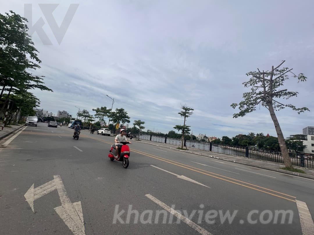 Ảnh thực tế 15