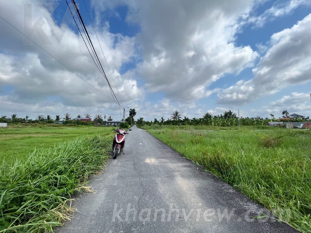 Đất Đồ Sơn TK4156P4