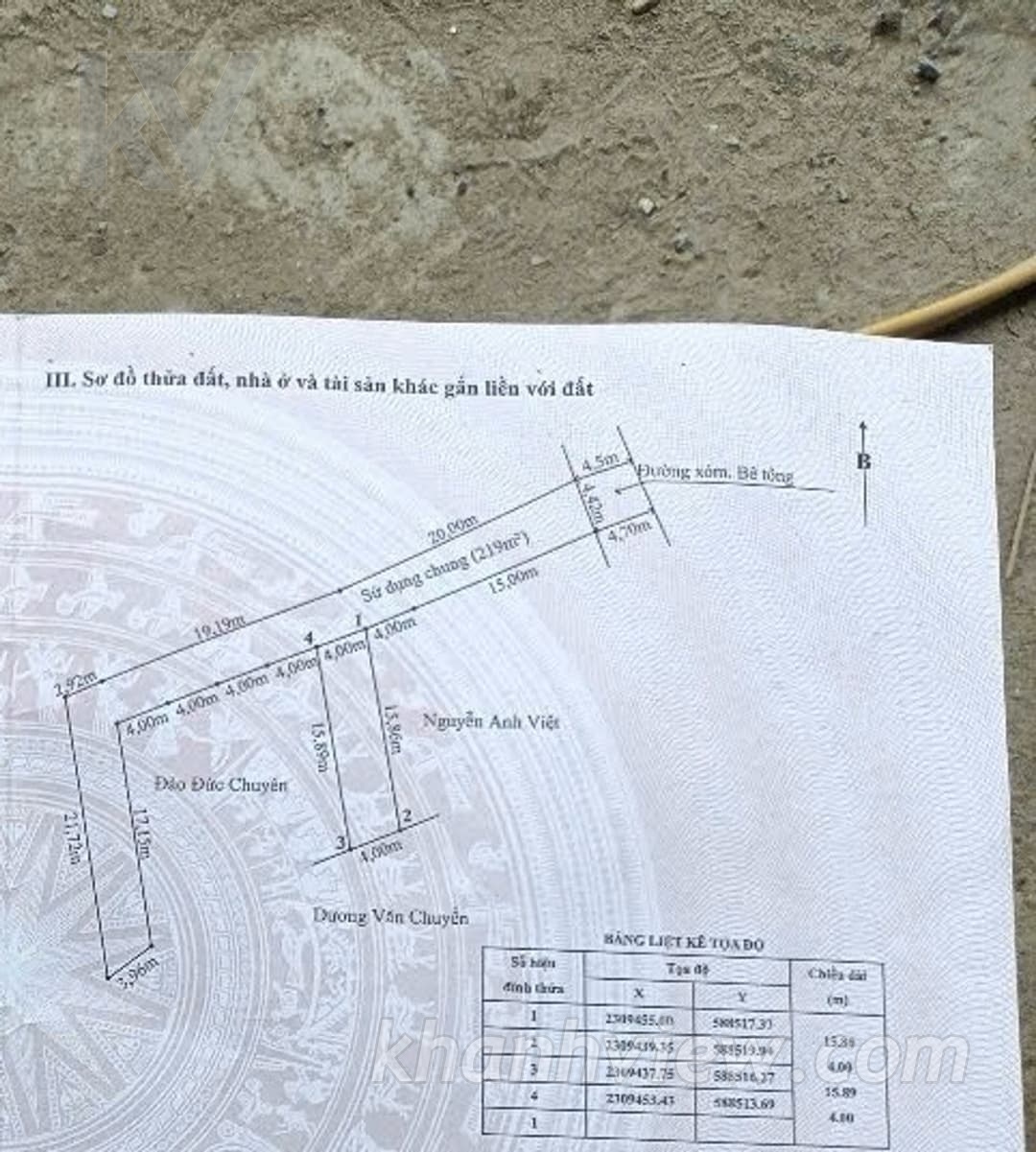 Nhà Quỳnh Hoàng 12
