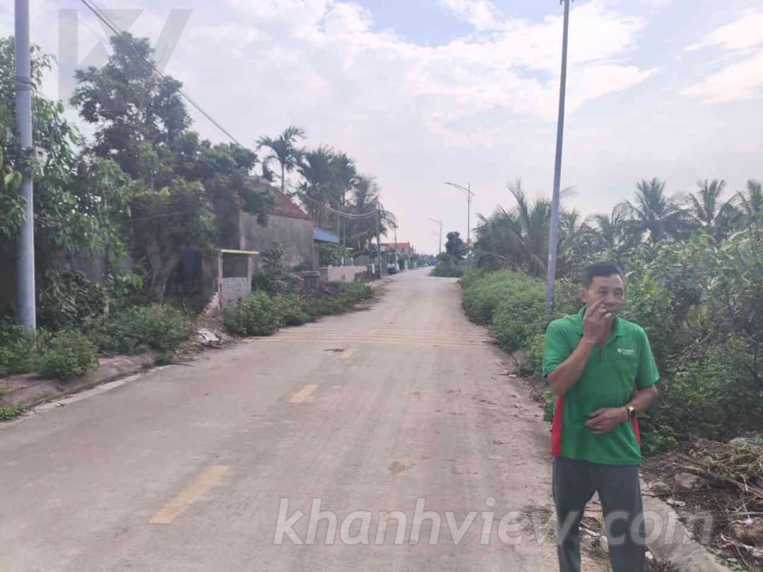 Thực tế đất Kiến Thiết Tiên Lãng ảnh 4