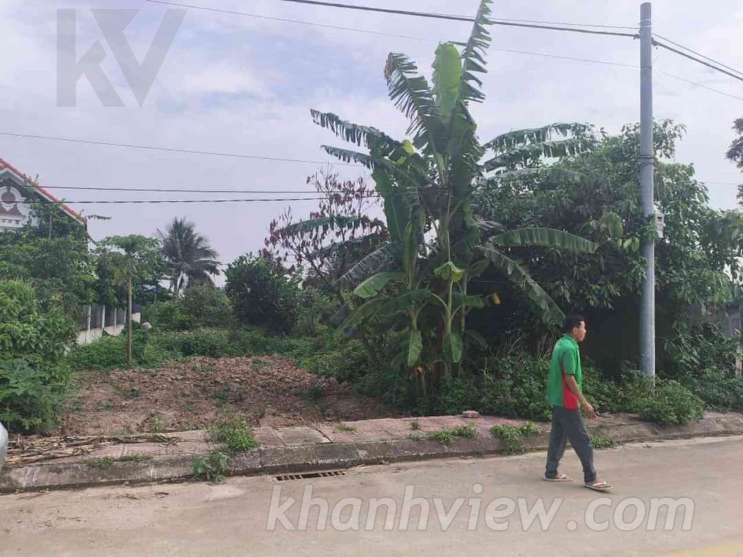 Thực tế đất Kiến Thiết Tiên Lãng ảnh 5