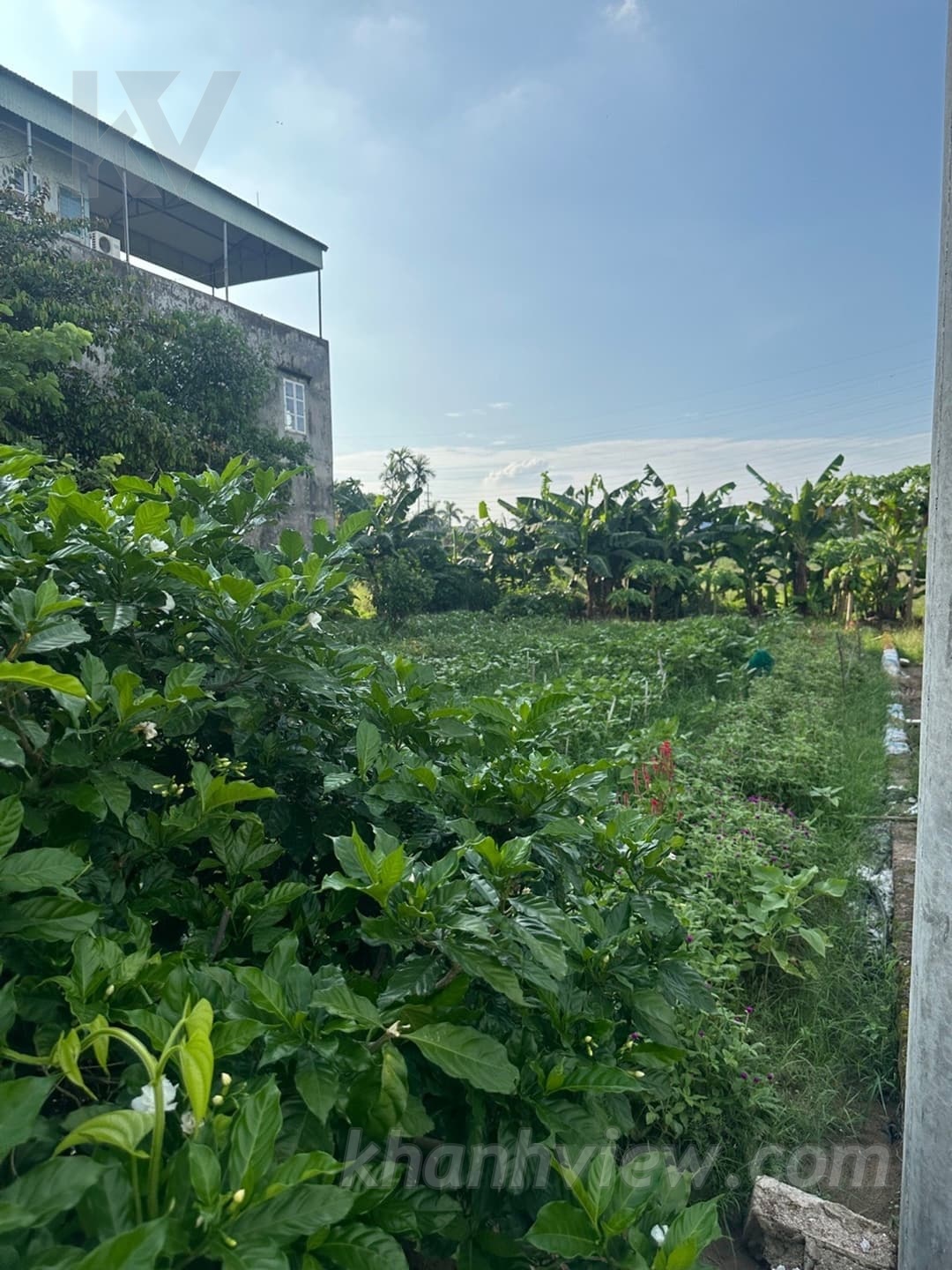Đất Ngô Yến An Dương 1