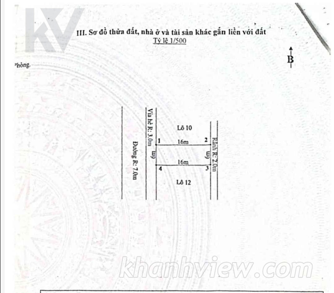 Ảnh thực tế 10