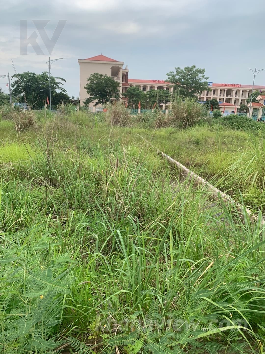 Ảnh thực tế 6