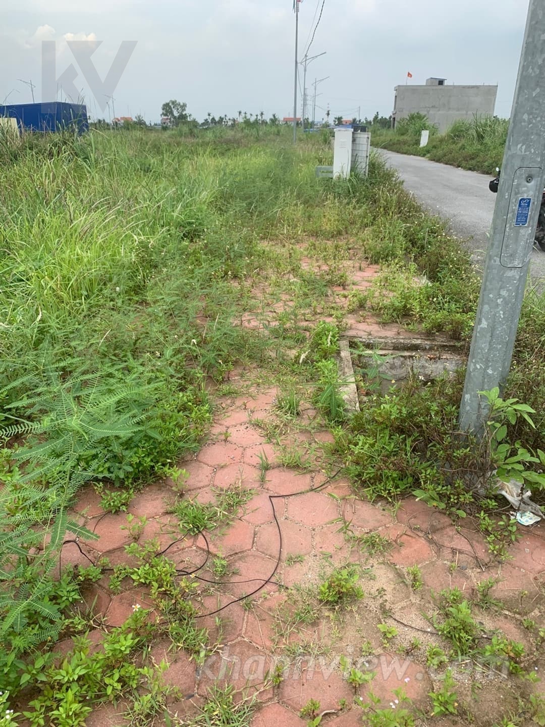 Ảnh thực tế 7