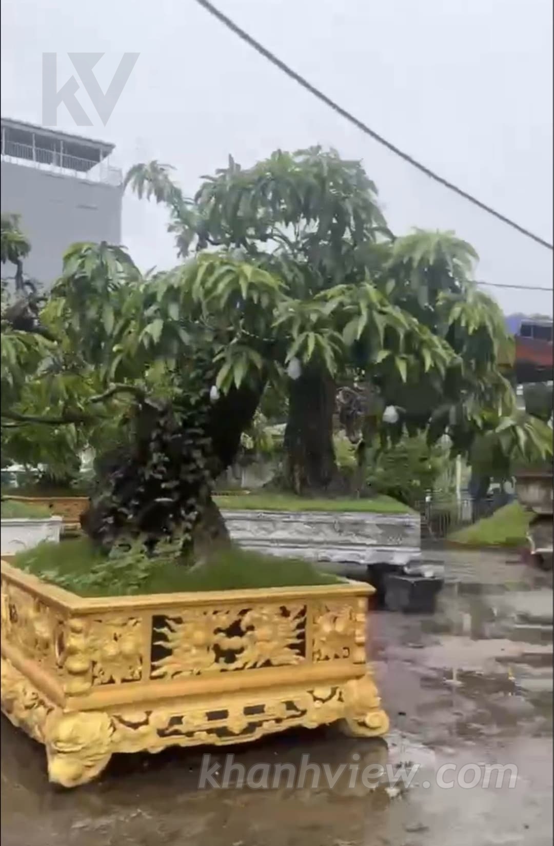 Ảnh thực tế 6