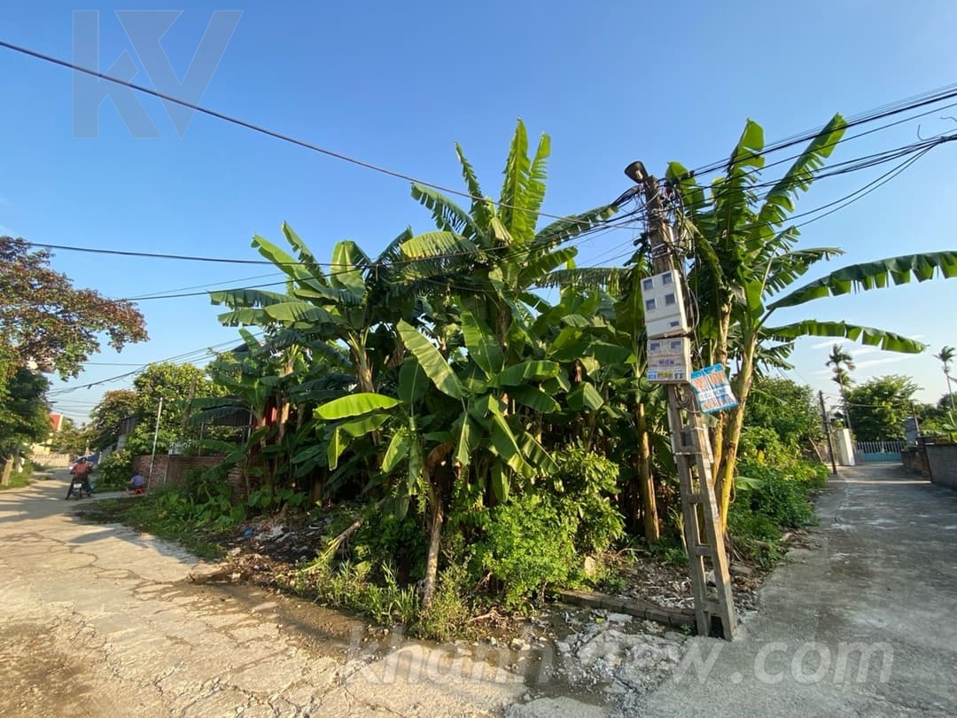 Ảnh thực tế TK65IXA4