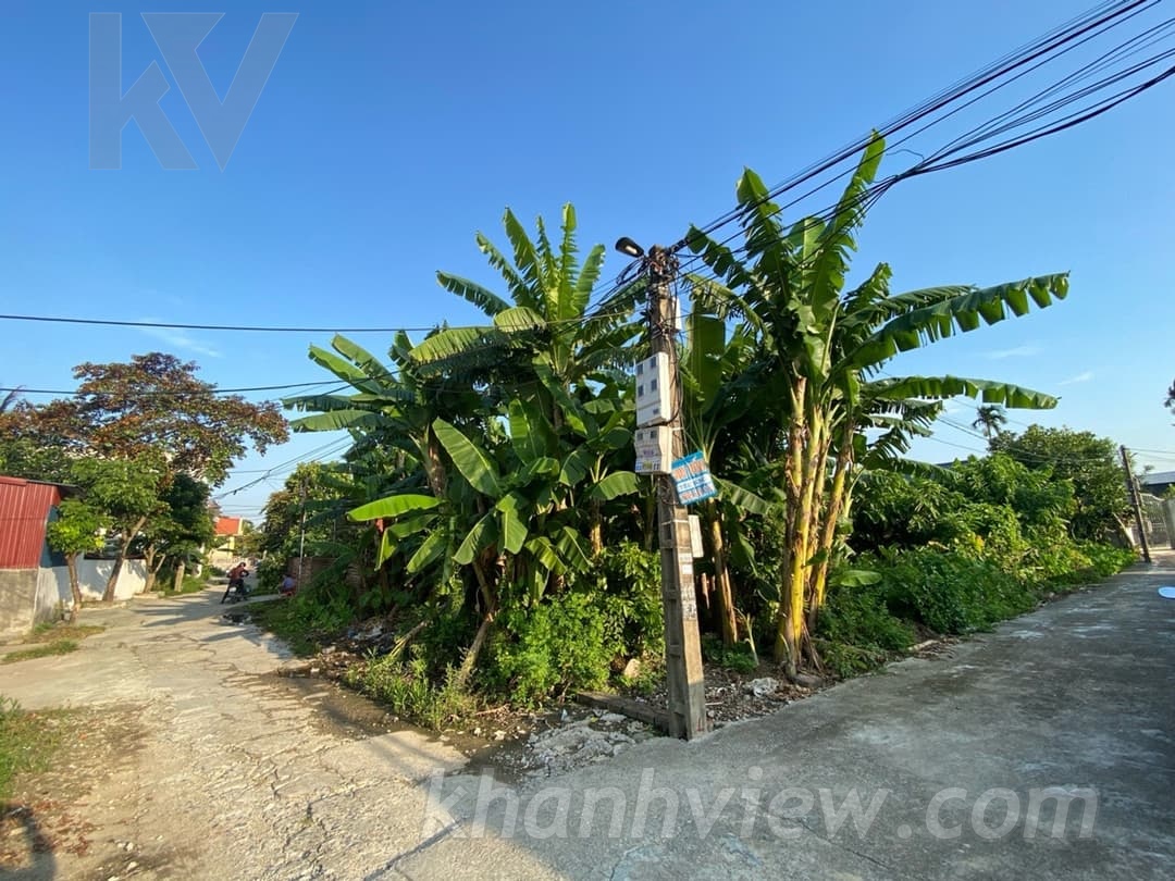 Ảnh thực tế TK65IXA4