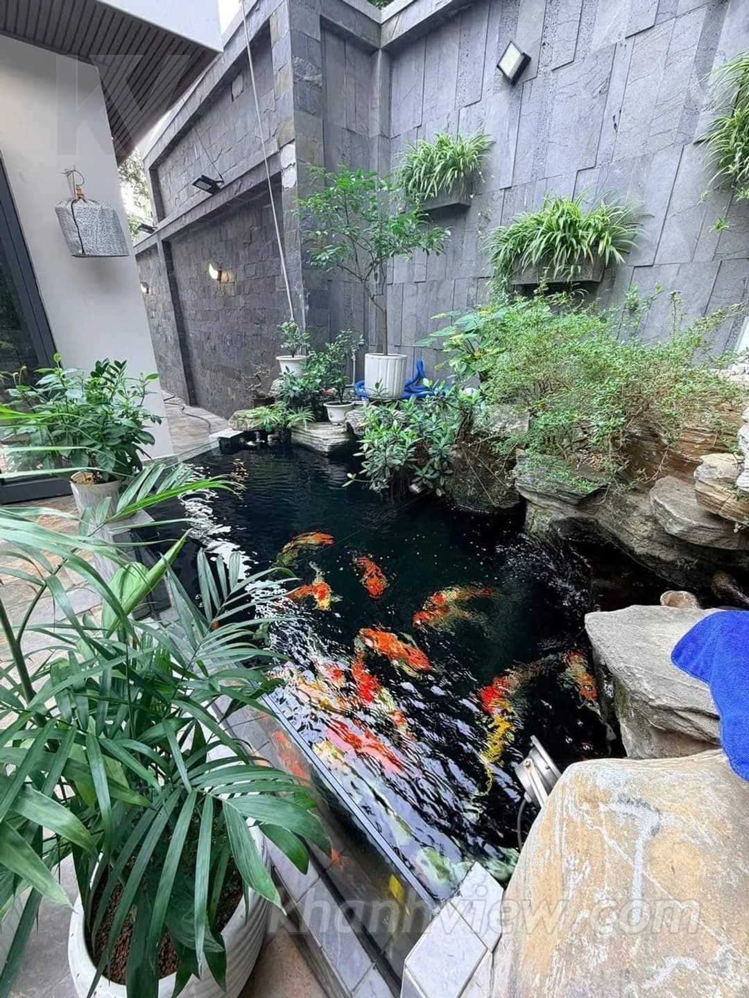 Biệt Thự An Trực Ảnh 4