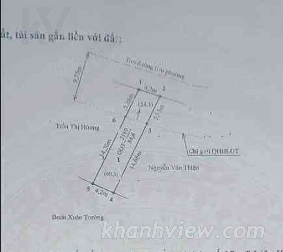 Ảnh thực tế 12