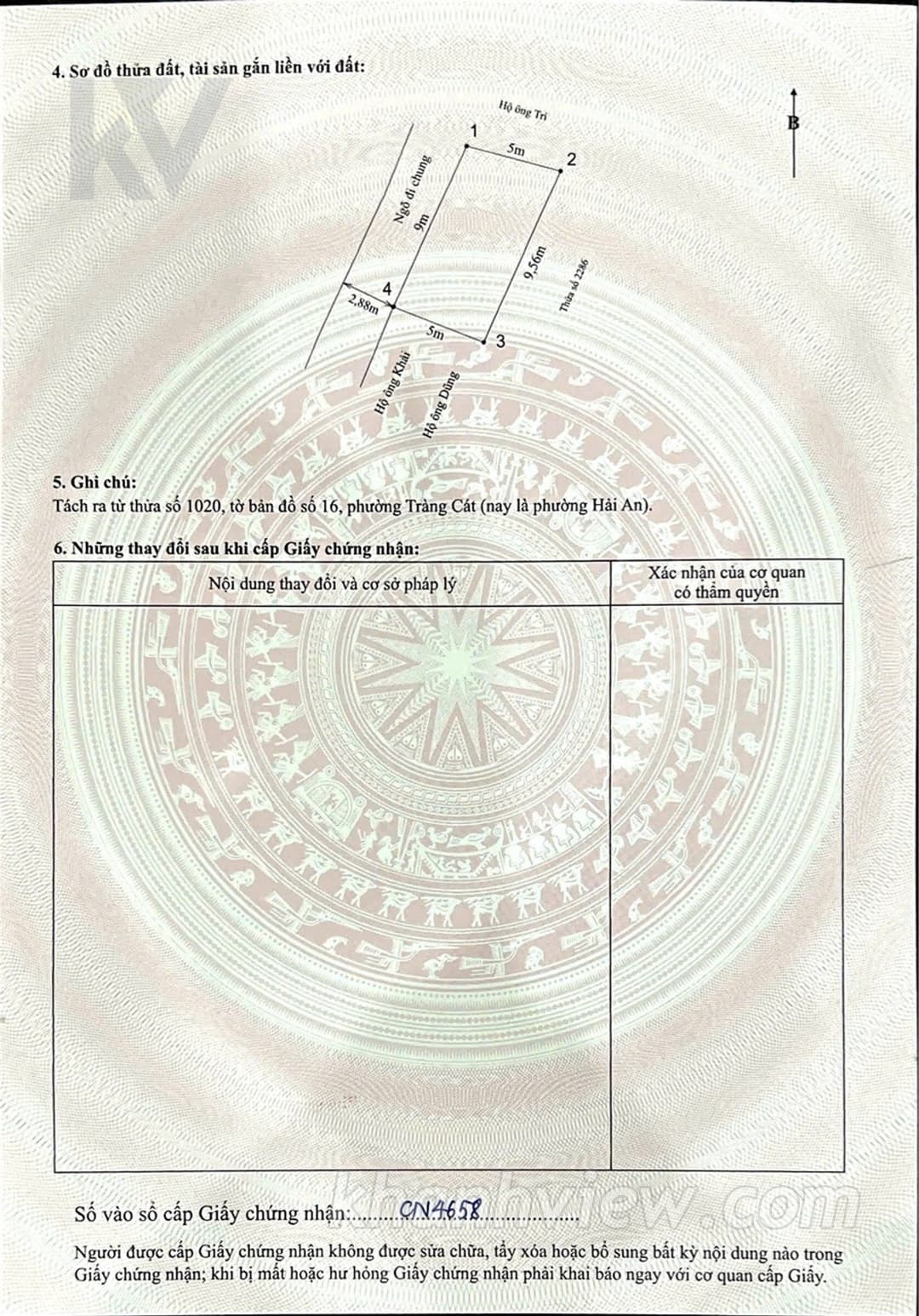 Ảnh thực tế 4