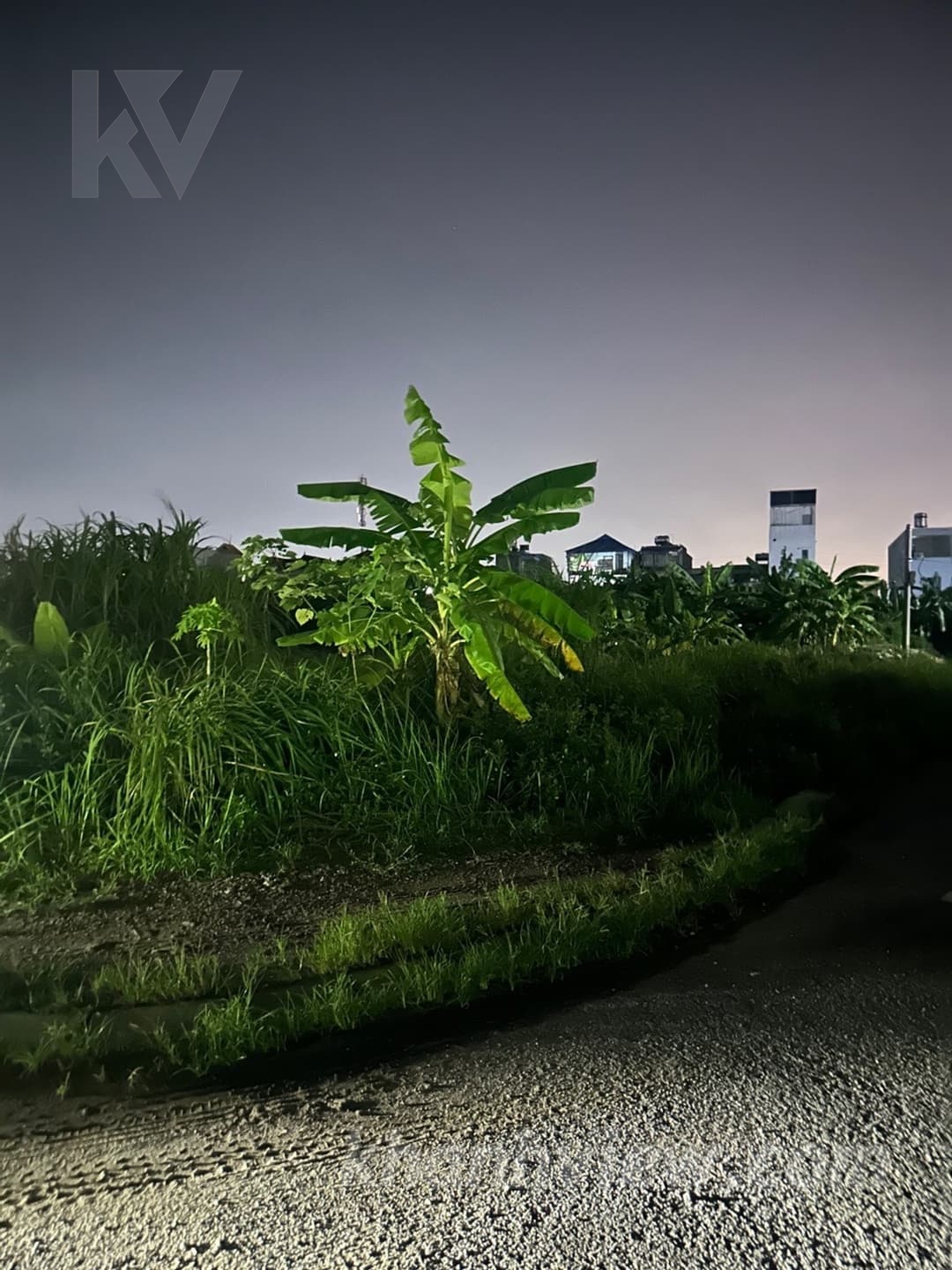 Thực tế Đồng Hải Hồng An 5