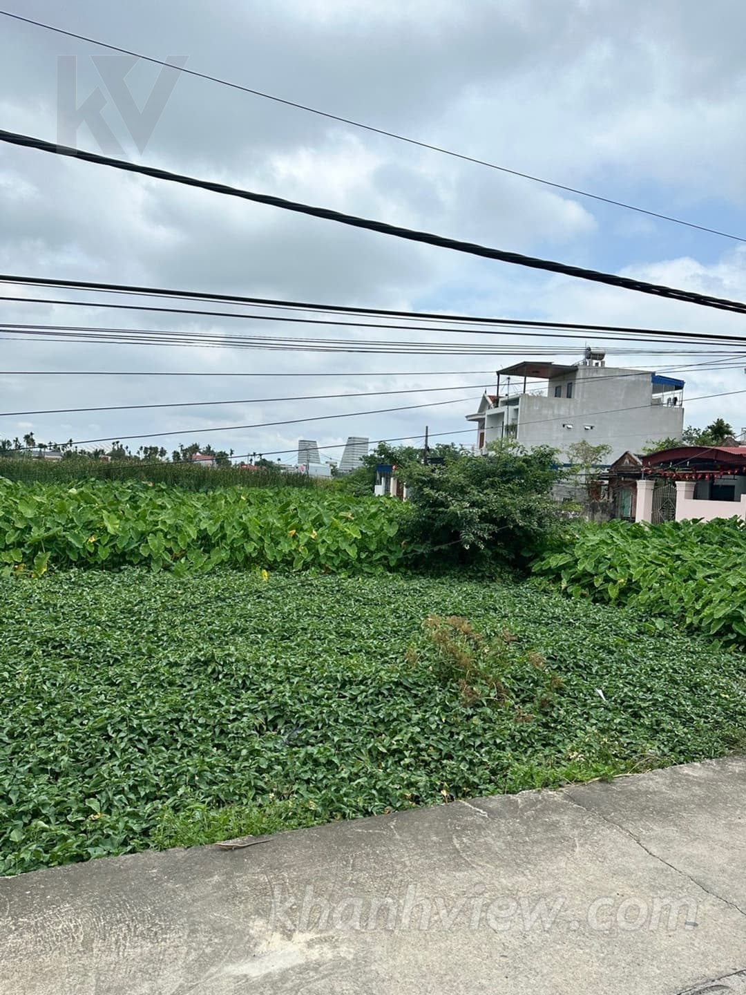 Đất Hoa Động Thủy Nguyên ảnh 11