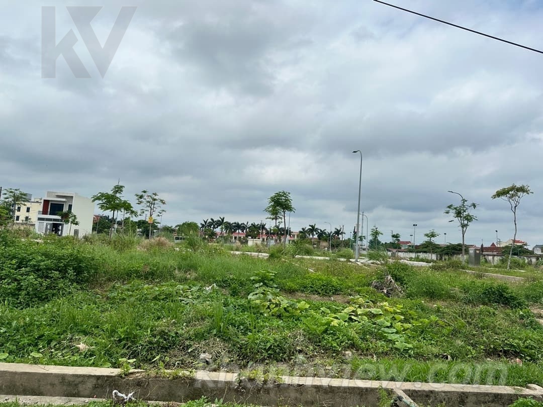 Đất Hoa Động Thủy Nguyên ảnh 17