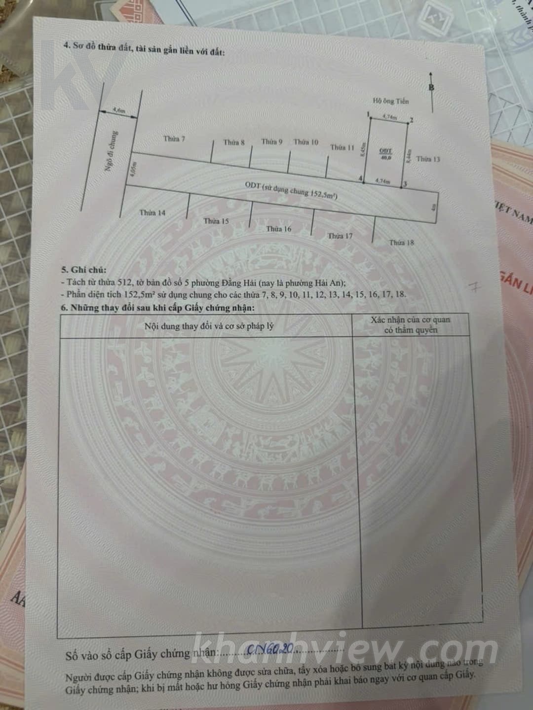 Thực tế Đằng Hải 5