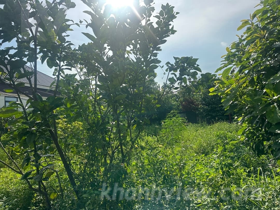 Đất Phố An Toàn 12