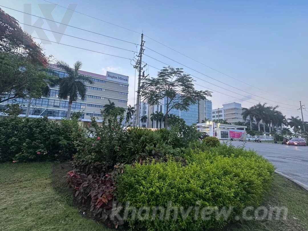 Đất dịch vụ Đầu Cầu Thủy Nguyên 10