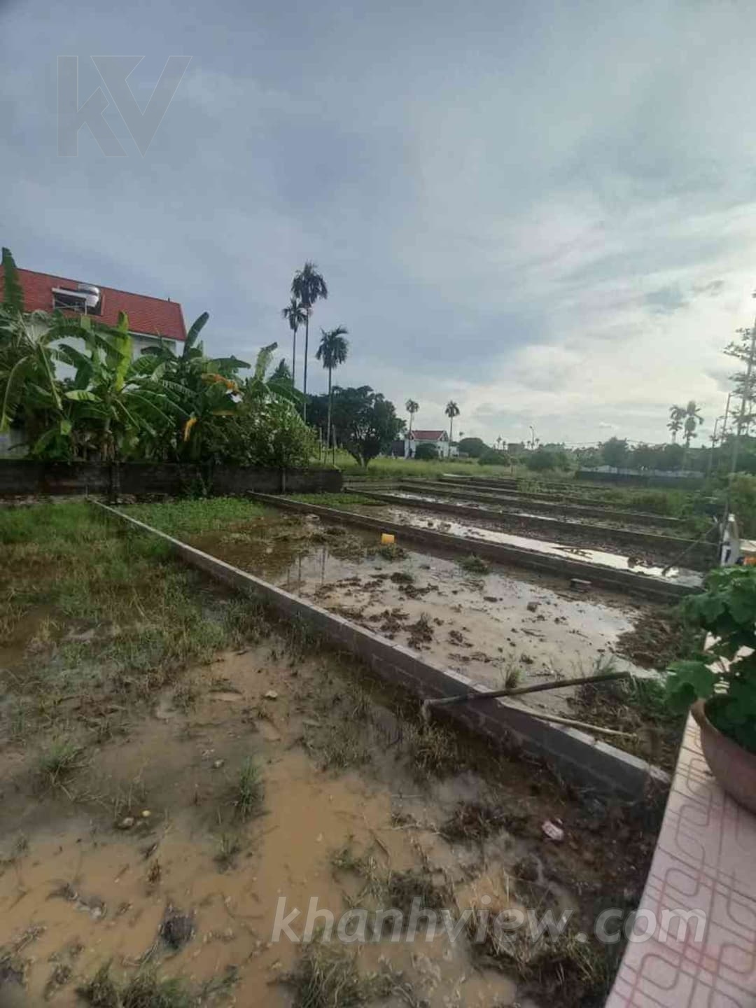 Ảnh thực tế 3